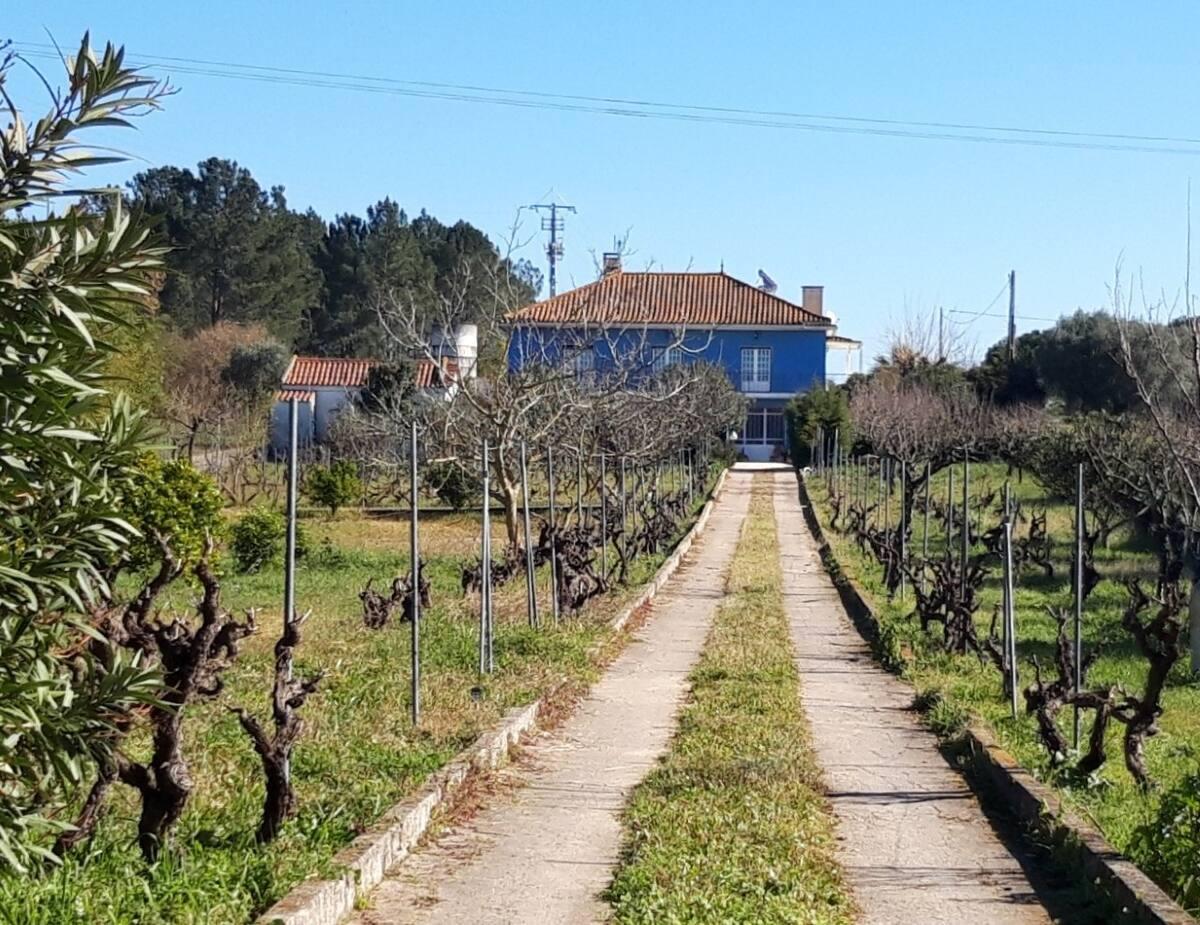 Casa Azul Tomar Prive Vakantiehuis Екстериор снимка