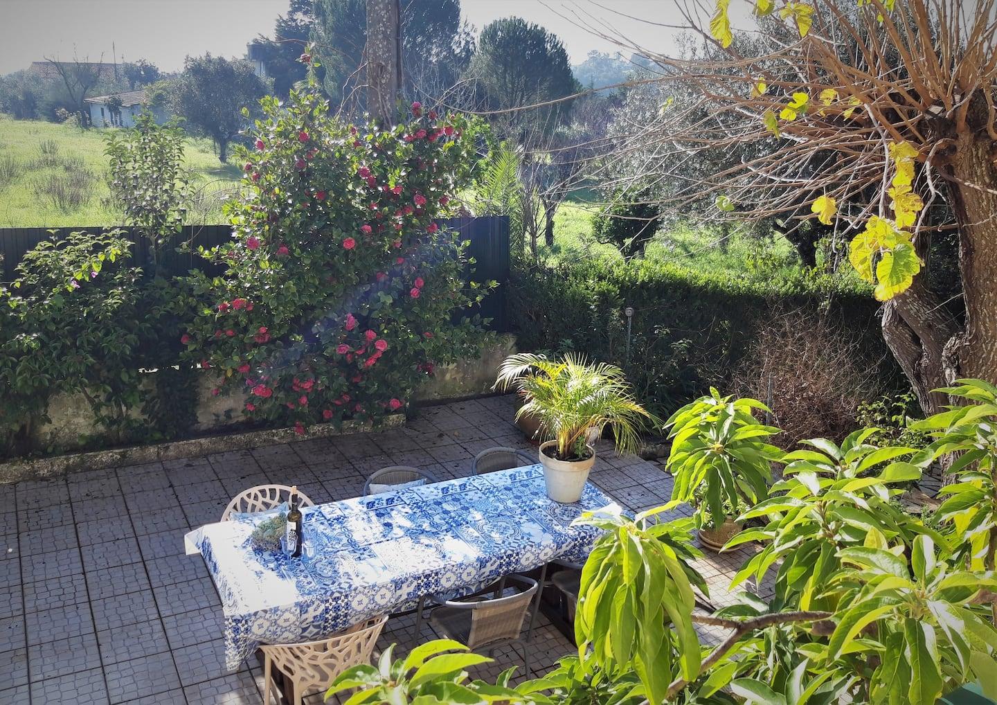 Casa Azul Tomar Prive Vakantiehuis Екстериор снимка