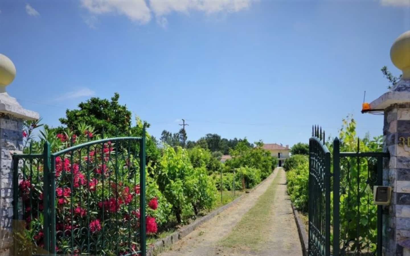 Casa Azul Tomar Prive Vakantiehuis Екстериор снимка