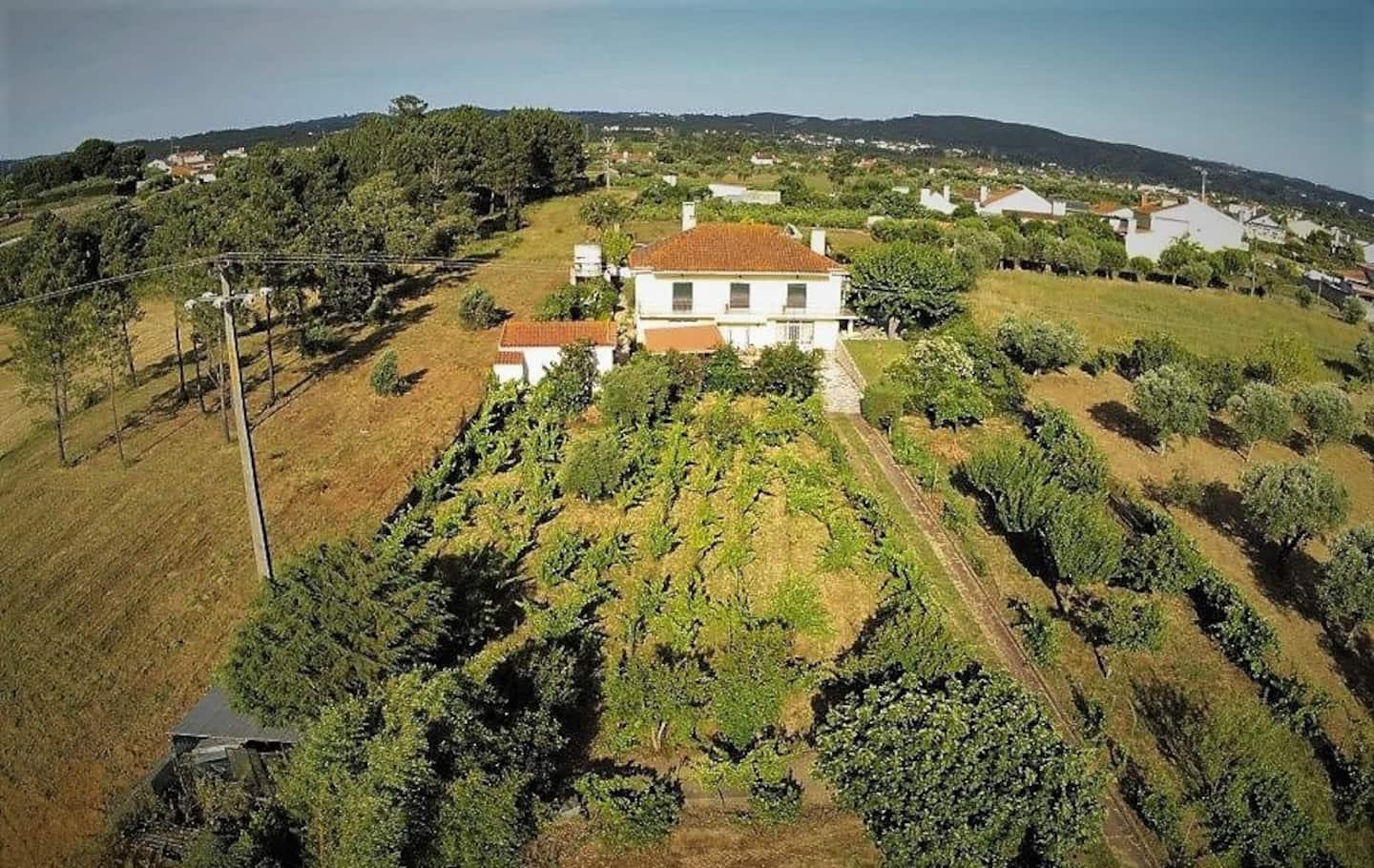 Casa Azul Tomar Prive Vakantiehuis Екстериор снимка