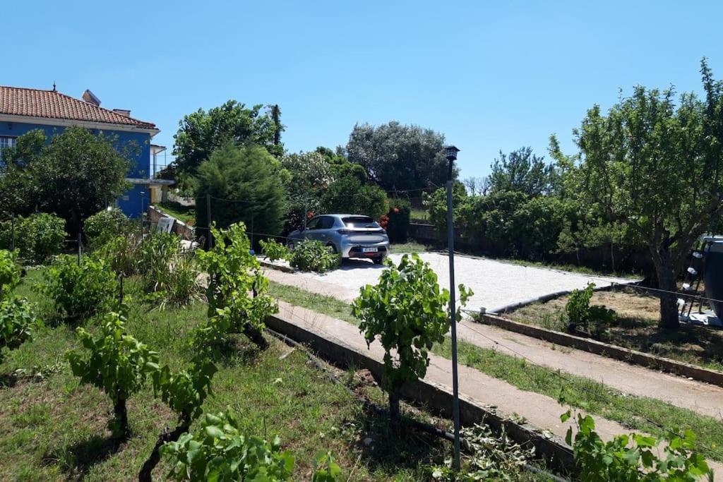 Casa Azul Tomar Prive Vakantiehuis Екстериор снимка