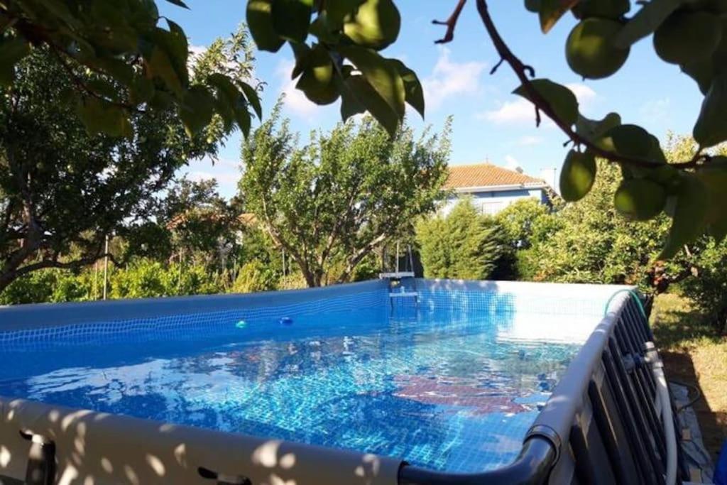 Casa Azul Tomar Prive Vakantiehuis Екстериор снимка